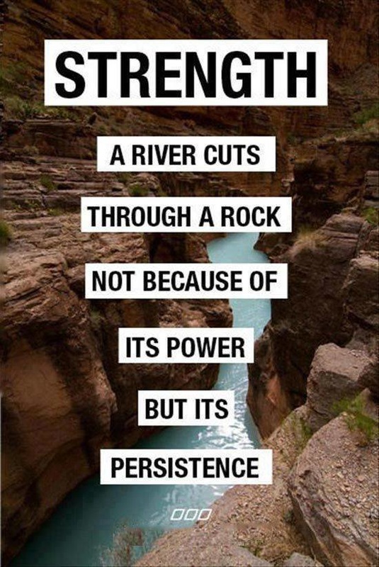 Quote about strength and persistence